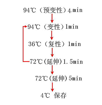 77779193永利官网(中国)有限公司