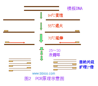 77779193永利官网(中国)有限公司