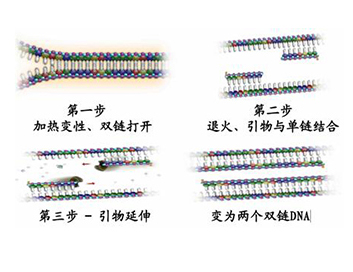 77779193永利官网(中国)有限公司