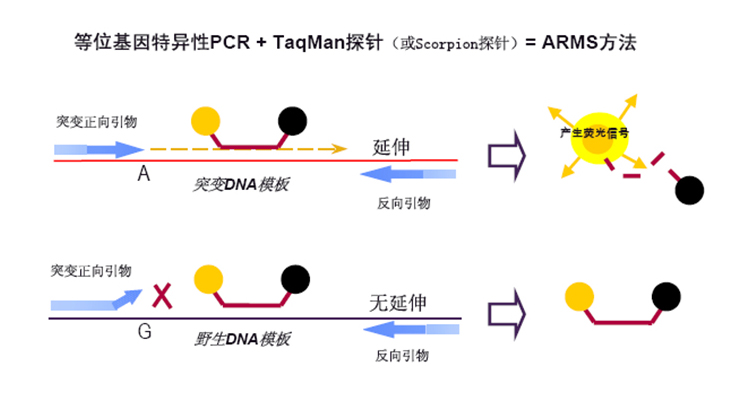 77779193永利官网(中国)有限公司